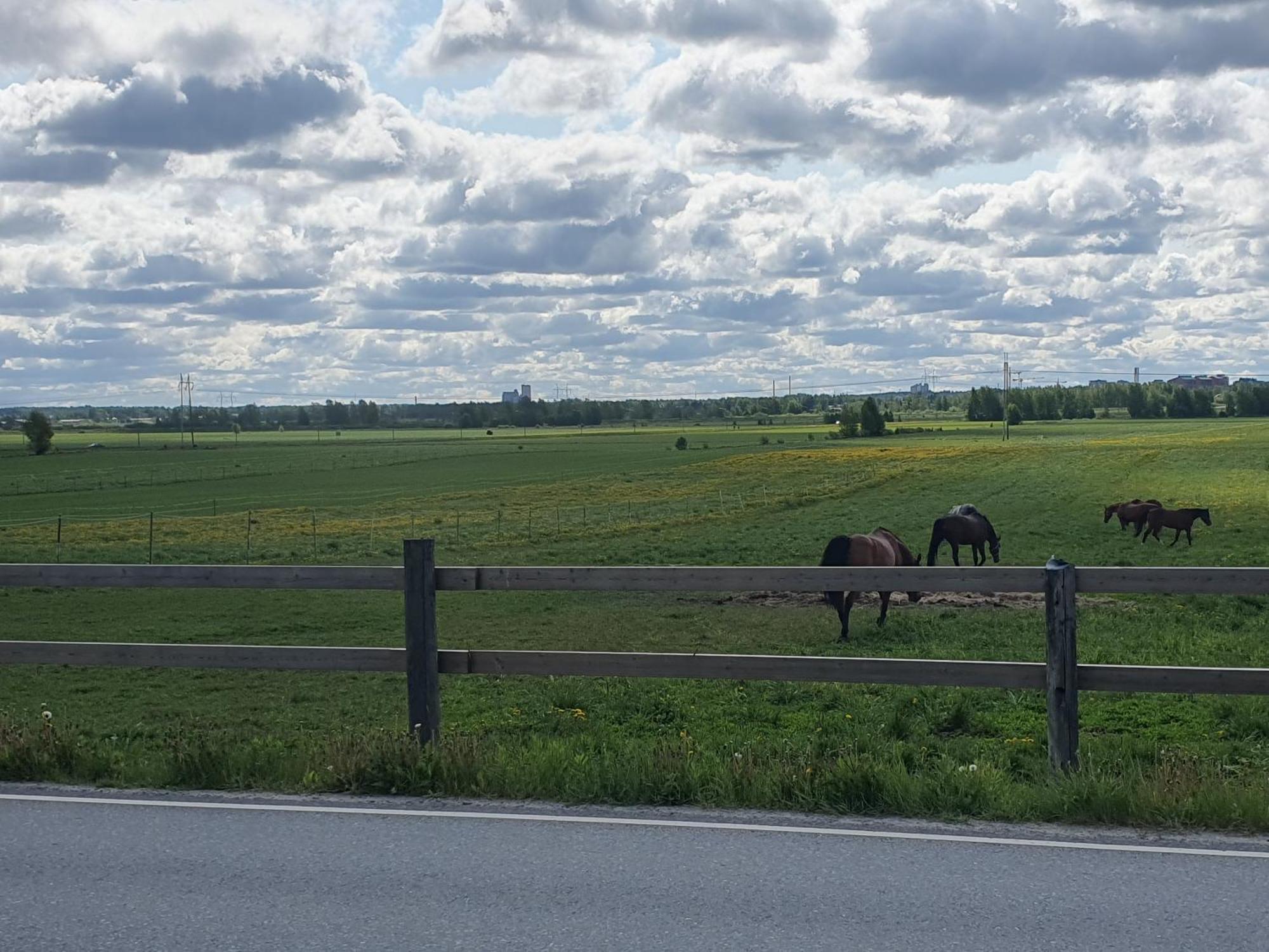 Seinäjoki Siirilaen Tilaゲストハウス エクステリア 写真